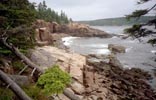 mdi - bar harbor accountants